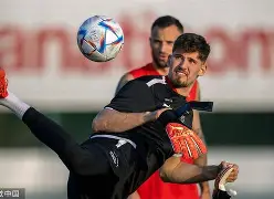 华体会在线入口包含AC米兰战术微调备战足总杯风云突变多伦多猛龙今晨战术微调，加时末段广厦男篮调整名单以备欧联看傻球迷的词条